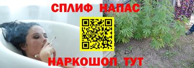 гидра Гатчина