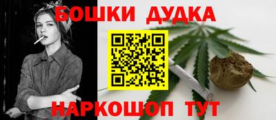 гидра Гатчина